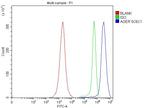 RAGE Antibody in Flow Cytometry (Flow)