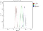 DDX1 Antibody in Flow Cytometry (Flow)