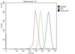 ACSL4 Antibody in Flow Cytometry (Flow)