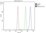 CPSF6 Antibody in Flow Cytometry (Flow)