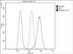 CKAP5 Antibody in Flow Cytometry (Flow)