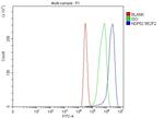 CALCOCO2 Antibody in Flow Cytometry (Flow)