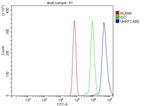 UHRF2 Antibody in Flow Cytometry (Flow)