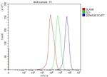 SEMA3B Antibody in Flow Cytometry (Flow)