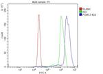 PSMC3 Antibody in Flow Cytometry (Flow)