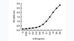 IL-1 beta Antibody in ELISA (ELISA)