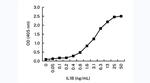 IL-1 beta Antibody in ELISA (ELISA)