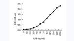 IL-1 beta Antibody in ELISA (ELISA)