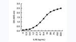 IL-1 beta Antibody in ELISA (ELISA)