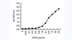 GM-CSF Antibody in ELISA (ELISA)