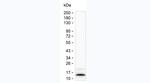 IL-8 (CXCL8) Antibody in Western Blot (WB)