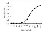 MCP-1 Antibody in ELISA (ELISA)