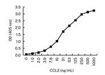 MCP-1 Antibody in ELISA (ELISA)