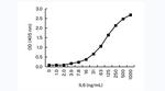 IL-6 Antibody in ELISA (ELISA)