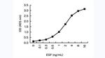 EGF Antibody in ELISA (ELISA)