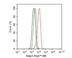 KEAP1 Antibody in Flow Cytometry (Flow)