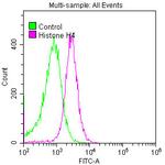 Histone H4 Antibody in Flow Cytometry (Flow)