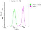 c-Met Antibody in Flow Cytometry (Flow)