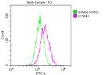 TRAF2 Antibody in Flow Cytometry (Flow)