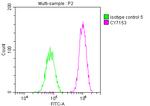 PAK2 Antibody in Flow Cytometry (Flow)