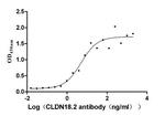 Claudin 18 Antibody in ELISA (ELISA)