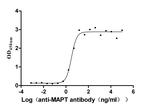 Tau Antibody in ELISA (ELISA)