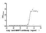 Tau Antibody in ELISA (ELISA)