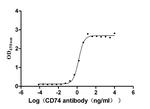 CD74 Antibody in ELISA (ELISA)