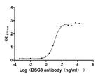 Desmoglein 3 Antibody in ELISA (ELISA)