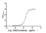 Desmoglein 3 Antibody in ELISA (ELISA)