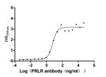 Prolactin Receptor Antibody in ELISA (ELISA)