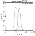 USP22 Antibody in Flow Cytometry (Flow)