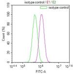 BAP31 Antibody in Flow Cytometry (Flow)