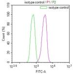 SENP1 Antibody in Flow Cytometry (Flow)