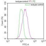 CD49f Antibody in Flow Cytometry (Flow)