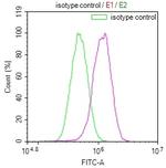 JNK3 Antibody in Flow Cytometry (Flow)