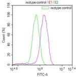 NDUFS4 Antibody in Flow Cytometry (Flow)