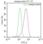 FADS1 Antibody in Flow Cytometry (Flow)