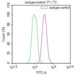 LDHC Antibody in Flow Cytometry (Flow)