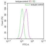 GALT Antibody in Flow Cytometry (Flow)