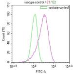 NTHL1 Antibody in Flow Cytometry (Flow)