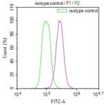 HMGCL Antibody in Flow Cytometry (Flow)