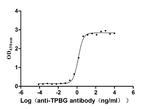 5T4 Antibody in ELISA (ELISA)