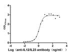 IL-12/IL-23 p40 Antibody in ELISA (ELISA)