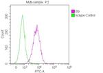 CD147 Antibody in Flow Cytometry (Flow)