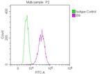 CD147 Antibody in Flow Cytometry (Flow)