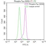 Phospho-Tau (Ser202) Antibody in Flow Cytometry (Flow)