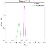 L-Plastin Antibody in Flow Cytometry (Flow)