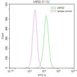 USP22 Antibody in Flow Cytometry (Flow)