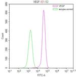 VEGF Receptor 1 Antibody in Flow Cytometry (Flow)